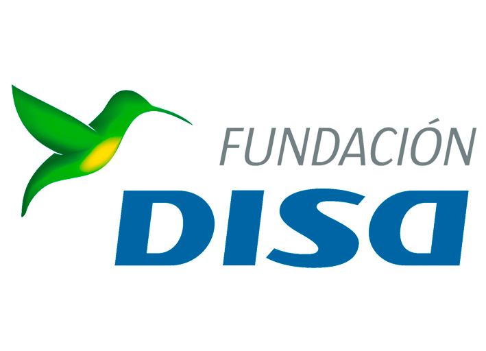 FundacionDISA